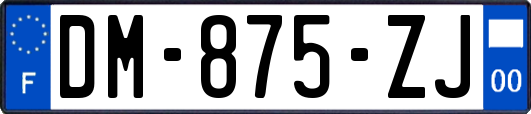 DM-875-ZJ