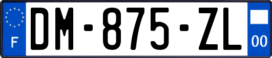 DM-875-ZL