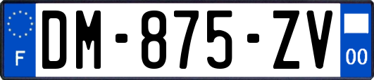 DM-875-ZV