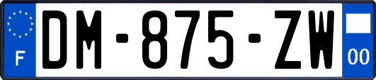 DM-875-ZW