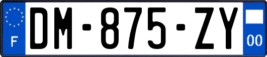 DM-875-ZY