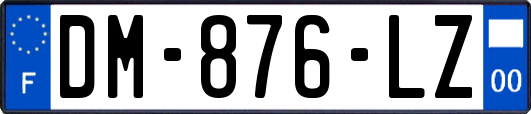 DM-876-LZ