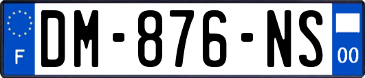 DM-876-NS
