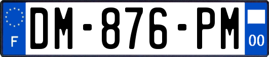 DM-876-PM