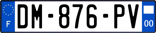 DM-876-PV