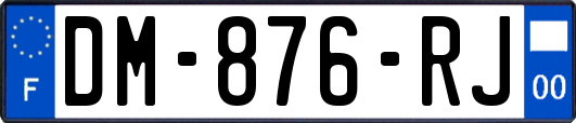 DM-876-RJ