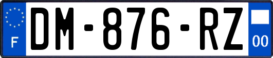 DM-876-RZ