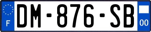 DM-876-SB