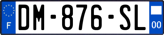 DM-876-SL