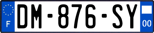 DM-876-SY