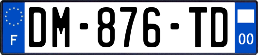 DM-876-TD