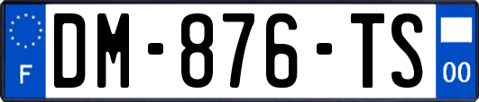 DM-876-TS