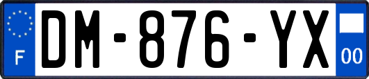 DM-876-YX