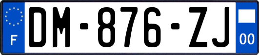 DM-876-ZJ