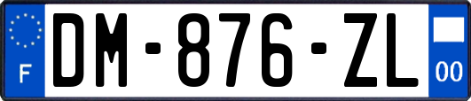 DM-876-ZL