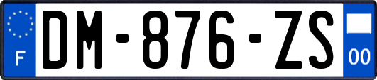 DM-876-ZS