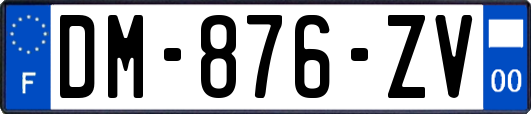 DM-876-ZV