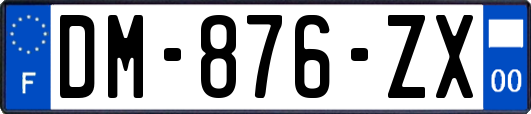 DM-876-ZX