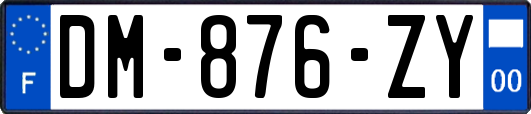 DM-876-ZY