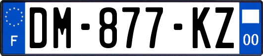 DM-877-KZ