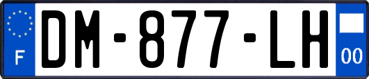 DM-877-LH