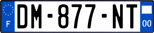 DM-877-NT