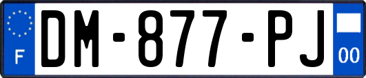 DM-877-PJ