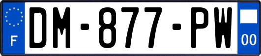 DM-877-PW