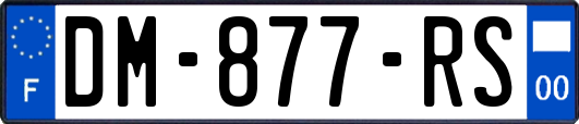 DM-877-RS