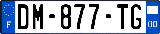 DM-877-TG