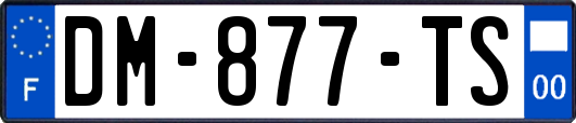 DM-877-TS