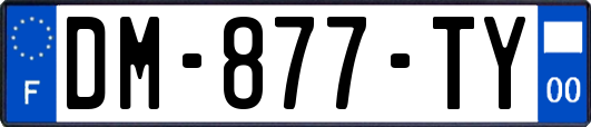 DM-877-TY