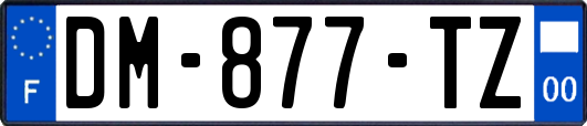 DM-877-TZ