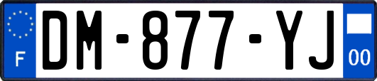 DM-877-YJ