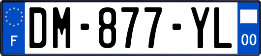 DM-877-YL