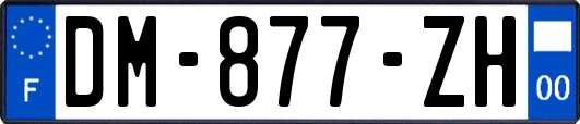 DM-877-ZH