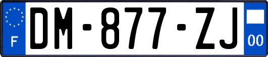 DM-877-ZJ