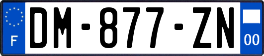 DM-877-ZN