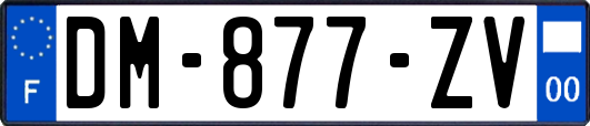 DM-877-ZV