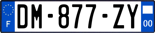 DM-877-ZY