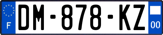 DM-878-KZ