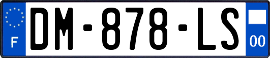 DM-878-LS