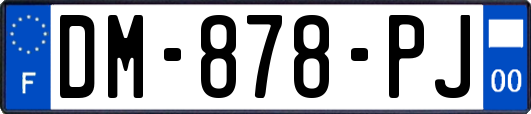 DM-878-PJ