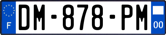 DM-878-PM