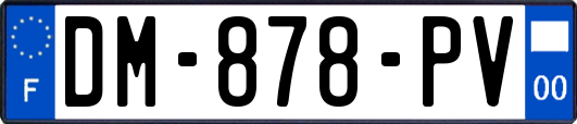 DM-878-PV