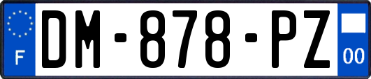 DM-878-PZ