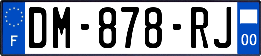 DM-878-RJ