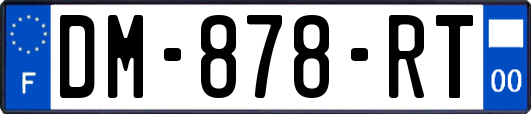DM-878-RT