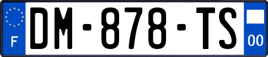 DM-878-TS