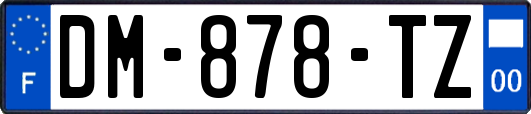 DM-878-TZ